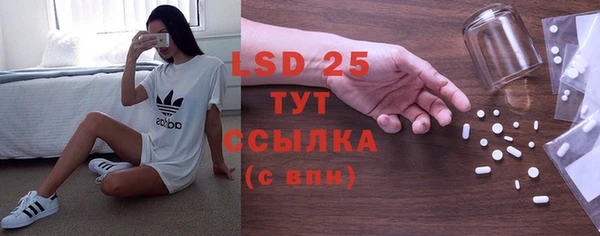 сатива Кукмор
